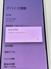 Leitz Phone 2 White Smartphone LCD White Spot Dead Pixel
