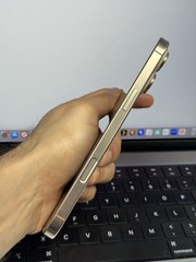 Apple iPhone 16 Pro Max Factory Unlocked 256GB Desert / Gold (Scratches) #24723