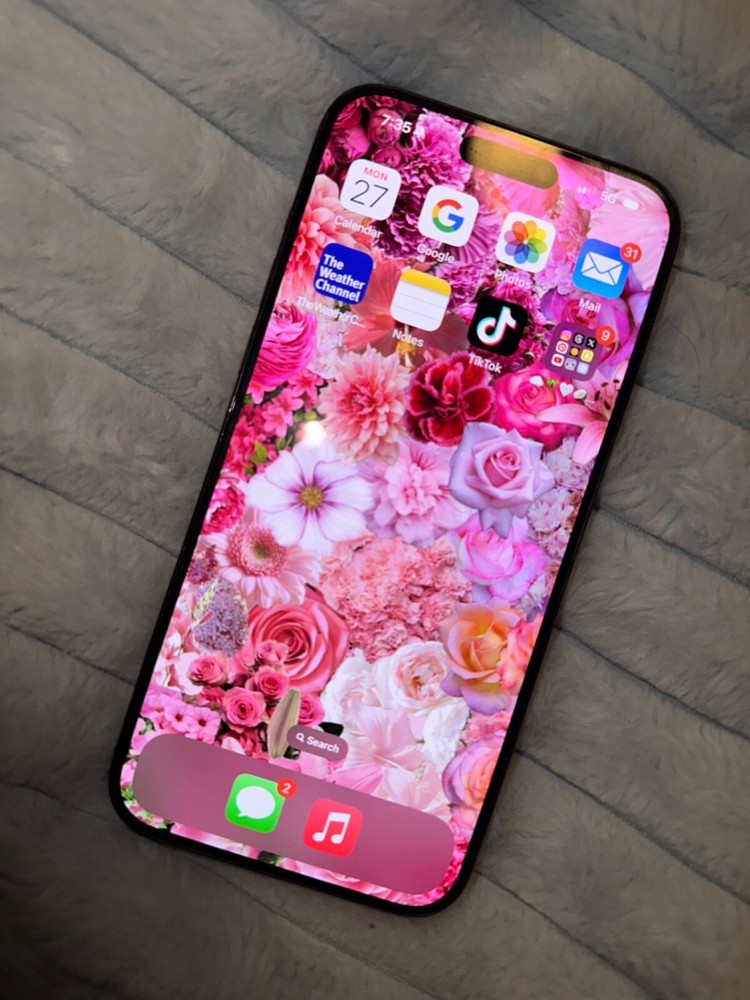 iPhone 15 Pro Max With TikTok Installed