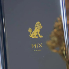 Xiaomi MIX 3 Limited Edition of the Forbidden Golden lion 10+256GB unlock Google