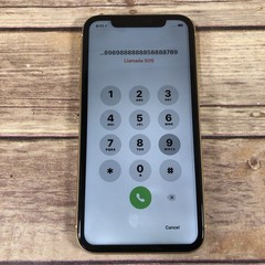iPhone X (10) Yellow NOT UNLOCKED DISABLED Does Charge But Stopped Working