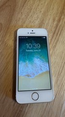 iPhone 5s | Gold | Model 1453
