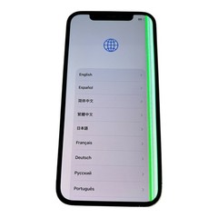Apple iPhone 12 Pro 256GB [A2341] Graphite (Unlocked) – *READ*