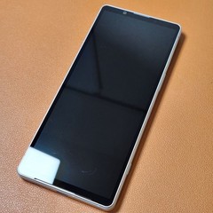 Sony Xperia 5 V XQ-DE44 128GB Silver Unlocked Global Model Slight Screen Burn