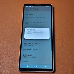 Sony Xperia 5 V XQ-DE44 128GB Silver Unlocked Global Model Slight Screen Burn
