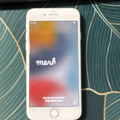 Apple iPhone 7 A1660 Silver 4.7in