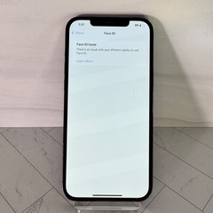 Cracked Screen LCD + Back Apple iPhone 12 Pro Max 128GB Graphite Unlocked #84