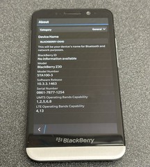 UNLOCKED Verizon BlackBerry Z30 16gb Global GSM 2G/3G NFC WiFi RFX101LW STA100-3