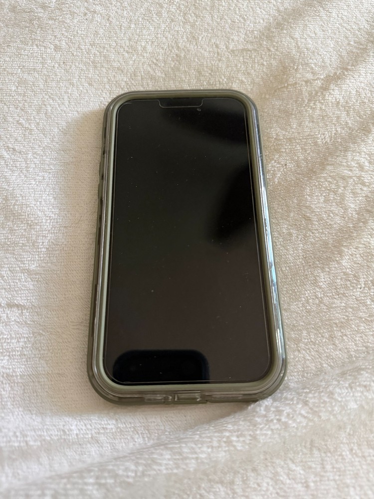 Apple iPhone 13 Pro Max – 1 TB – Alpine Green (Unlocked)