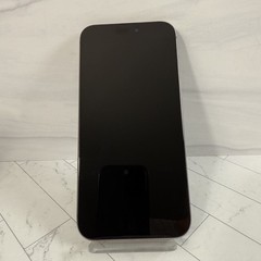Apple iPhone 15 Pro Max Natural 256GB Unlocked Open Carrier Read Details #H96