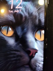 Samsung Galaxy Z Flip4 (Lavender)