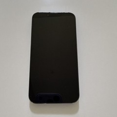 Apple iPhone 13 PRO 256 MB Sierra Blue EXCELLENT USED CONDITION iOS Verizon