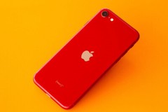 New Sealed Apple iPhone SE 3rd Gen (2022) A2595 128GB/256GB Factory Unlocked US
