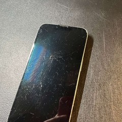 Apple iPhone 13 Pro – 256 GB – Alpine Green (Unlocked) – PARTS ONLY/READ