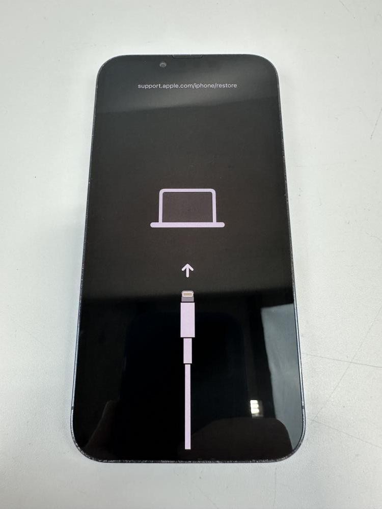 Apple iPhone 13 Pro 128GB A2483 Sierra Blue (Unlocked) – Back Glass Cracked