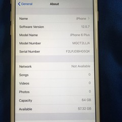 Apple iPhone 6 Plus 64GB Fully Unlocked Model A1522 Gold (o2m)