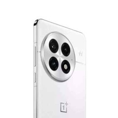 OnePlus 13 Smarter AI Phone-16GB RAM-512GB Storage Arctic Dawn-Global Version
