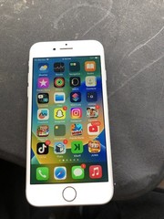 Phone Lights Up And Working