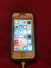 Apple iPhone 5s 16GB Space Gray (Verizon) A1533 ME341LL/A