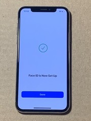 Apple iPhone X 256GB Silver (Unlocked) A1865 (CDMA + GSM) READ
