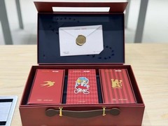 Molly’s 20th Anniversary Bubble Mart Edition Honor 500 Pro 16+512GB Google
