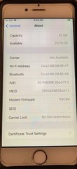 Apple iPhone 6S 32GB A1688 Silver Unlocked Working