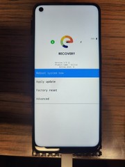 OnePlus Nord N10 5G-Degoogled-Unlocked-Ubuntu Touch/ or E/OS Mint !! Pls Read !!