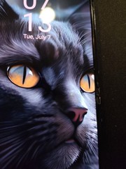 Samsung Galaxy Z Flip4 (Lavender)