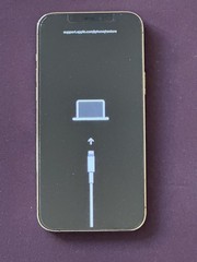 Apple iPhone 12 Pro Max Gold For Parts or Repair Free Shipping