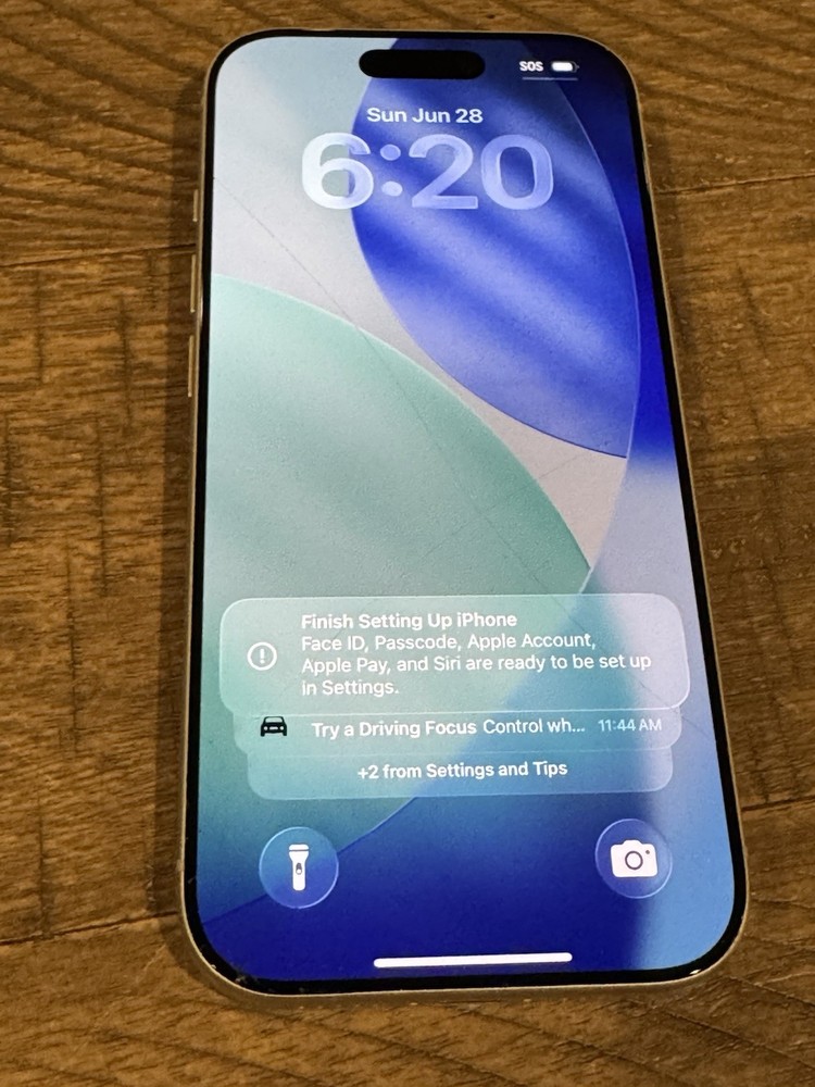Apple iPhone 17 Pro 256GB Silver Unlocked (100% Battery)
