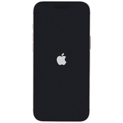 Apple iPhone 16 Pro Max (6.9-in) A3084 Verizon 256GB/Desert Titanium (90%+ Batt)