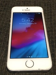 Apple iPhone 5s – 16GB – Silver (Sprint) A1453 (CDMA + GSM)