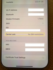 Apple iPhone 16 Pro Max 256GB Unlocked Natural Titanium ** MINT 100% Battery **
