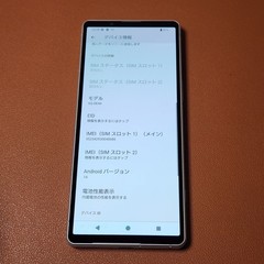 Sony Xperia 5 V XQ-DE44 128GB Silver Unlocked Global Model Slight Screen Burn