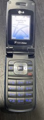 LG UX300