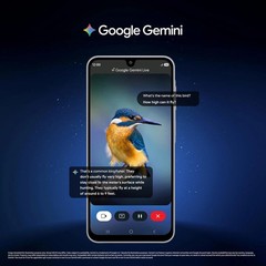 Samsung Galaxy M17 5G (Black, 8GB RAM, 128GB ) Exynos 1330 Global Version.