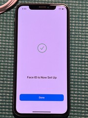 Apple iPhone X – 256GB – Space Gray (Unlocked) A1865 (CDMA + GSM)