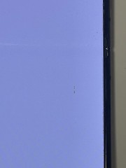 Samsung Galaxy Z Flip 4 5G SM-F721U Unlocked (Any Carrier) Green Pixel
