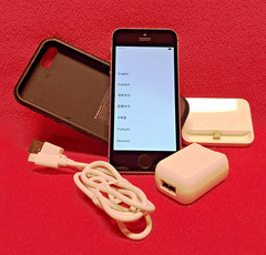 Apple iPhone 5s Verizon A1533 + Extra (USED)