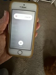 iPhone 5 And iPhone 5s. I Think They Are Unlocked? Read Description! Make Offer