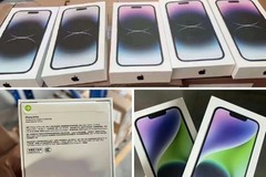 New Apple iPhone 13 Mini/iPhone SE 3rd Gen/12 Pro Max/14 Pro Max 5G USA SHIP Lot