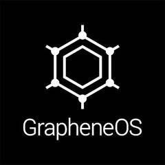 de-Googled Pixel 10 256GB Frost with GrapheneOS