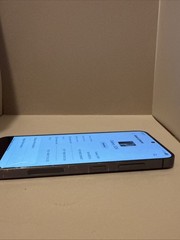 Samsung Galaxy S24 Factory Unlocked