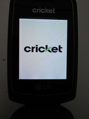 LG True- B460 Cricket Wireless Flip Phone Black (Pg99E)