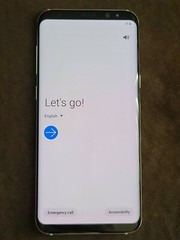 Samsung Galaxy S8 SM-G950U – 64GB – Silver Unlocked Very Good Mild Burn-In