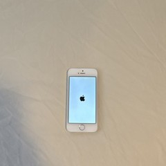 Apple iPhone 5s A1533 16GB Silver White 4.0in 8MP Used Smartphone