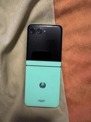 Motorola Razr 2025 256GB Spring Bud