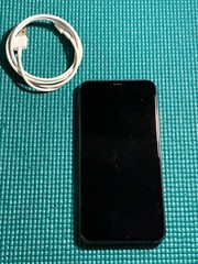 Apple iPhone 11 Pro Max 64GB Space Gray (Unlocked) A2161 (CDMA + GSM) Read