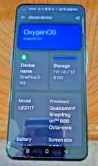 OnePlus 9 – 128 GB – Winter Mist (Unlocked)