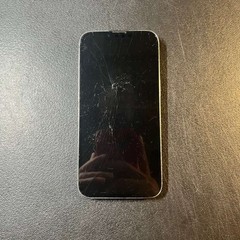 Apple iPhone 13 Pro – 256 GB – Alpine Green (Unlocked) – PARTS ONLY/READ